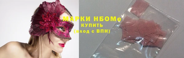 стафф Вязьма