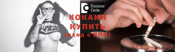 шишки Верея