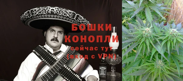 стафф Вязьма