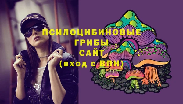 прущая мука Вязники