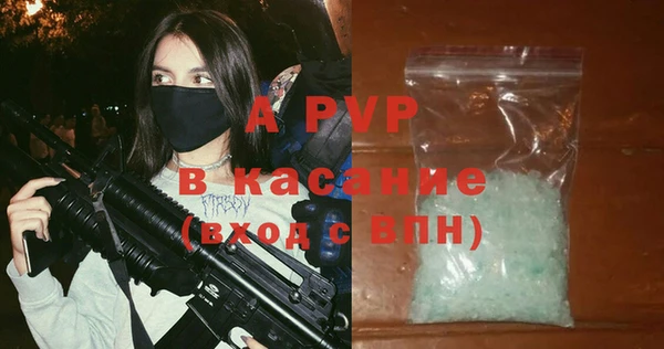 стафф Вязьма