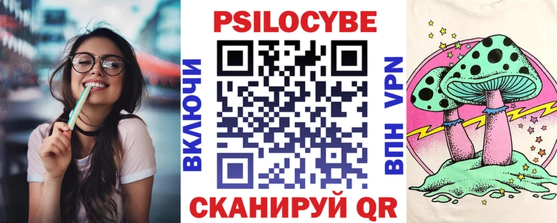 купить наркотики сайты  мега tor  Псилоцибиновые грибы ЛСД  Жердевка 
